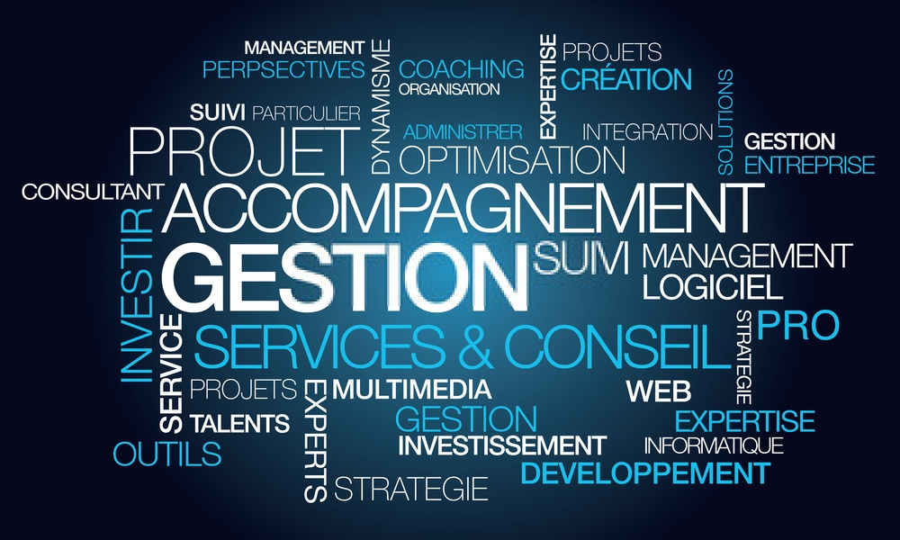 Accompagnement des organisation - PRO IT Consulting