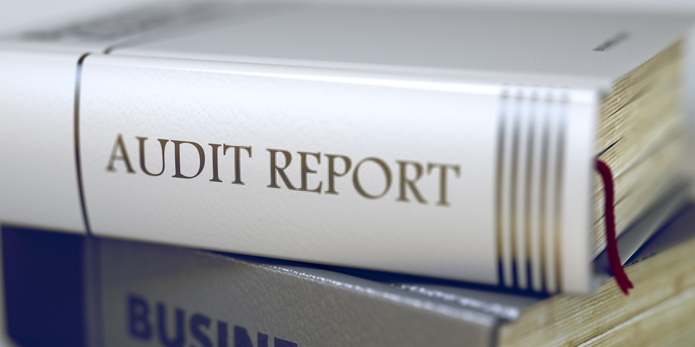 Rapport d'audit - PRO IT Consulting